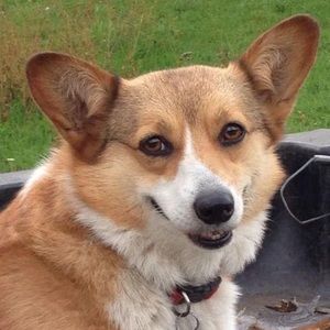 Meet your Posher, Bonnie